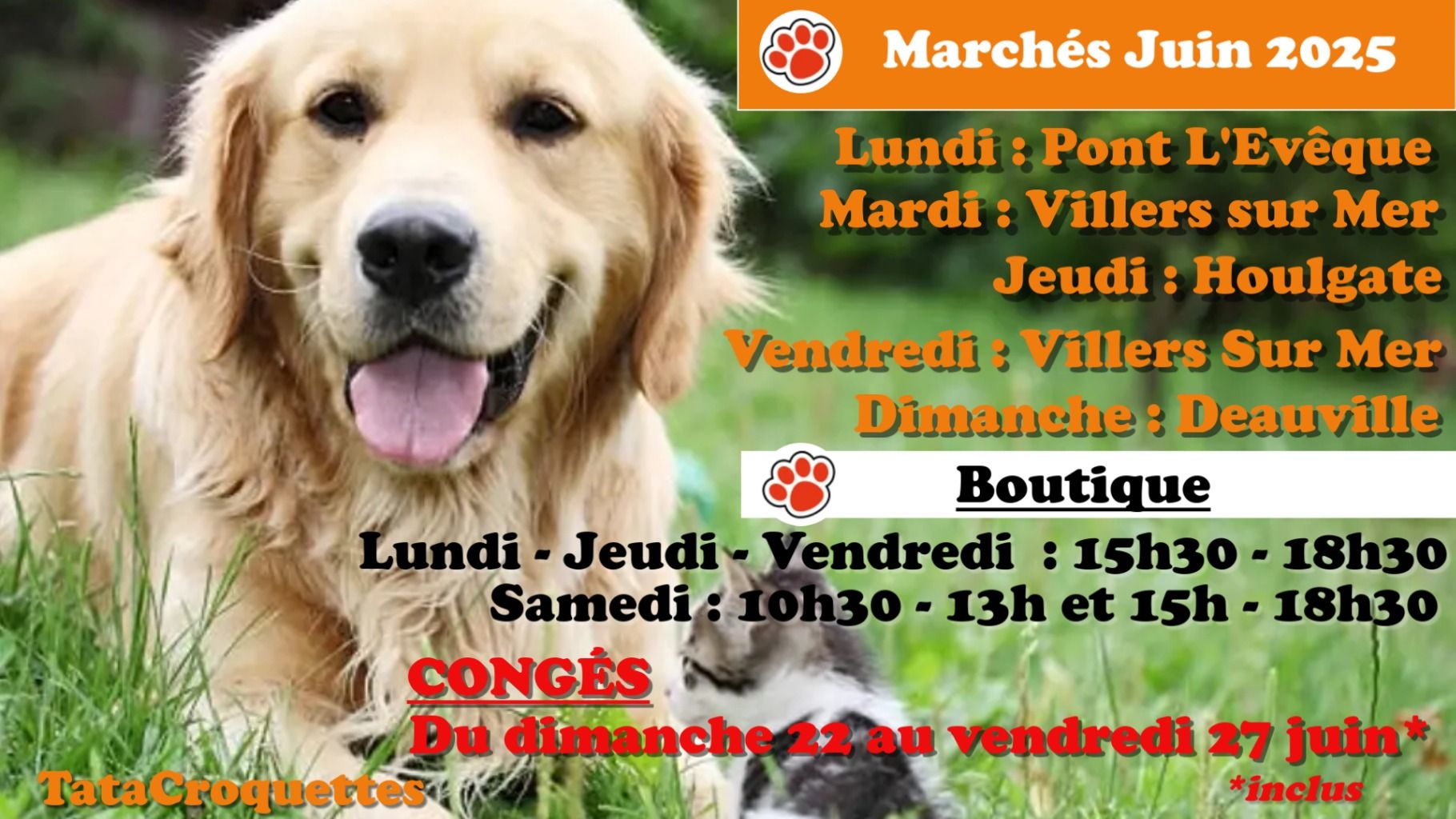 marches_juin_2025.jpg