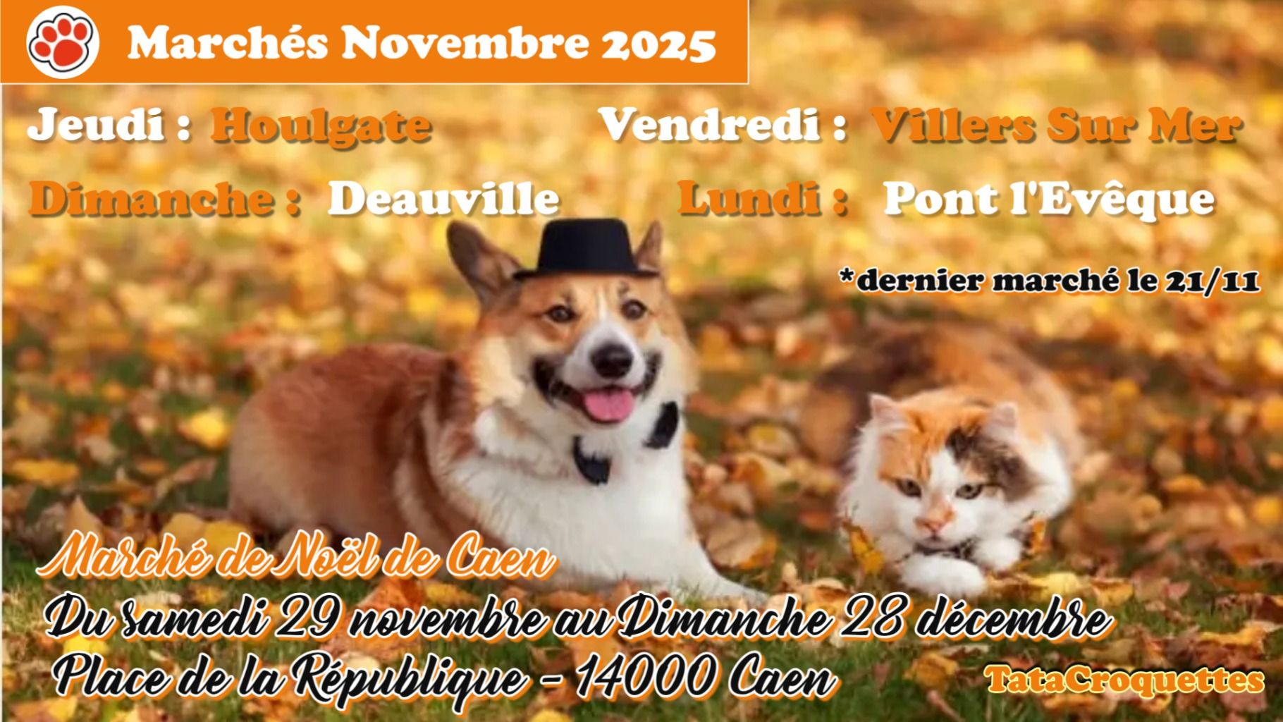 marches_novembre_2025.jpg