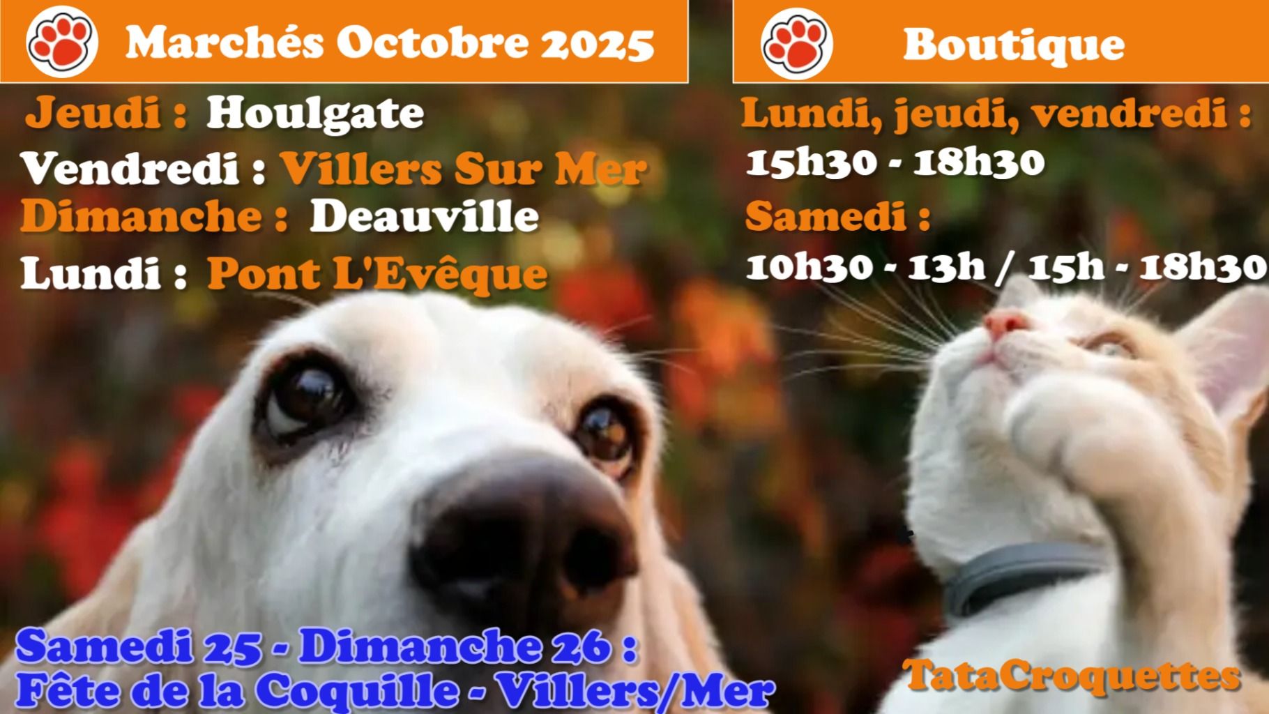 marches_octobre_2025.jpg