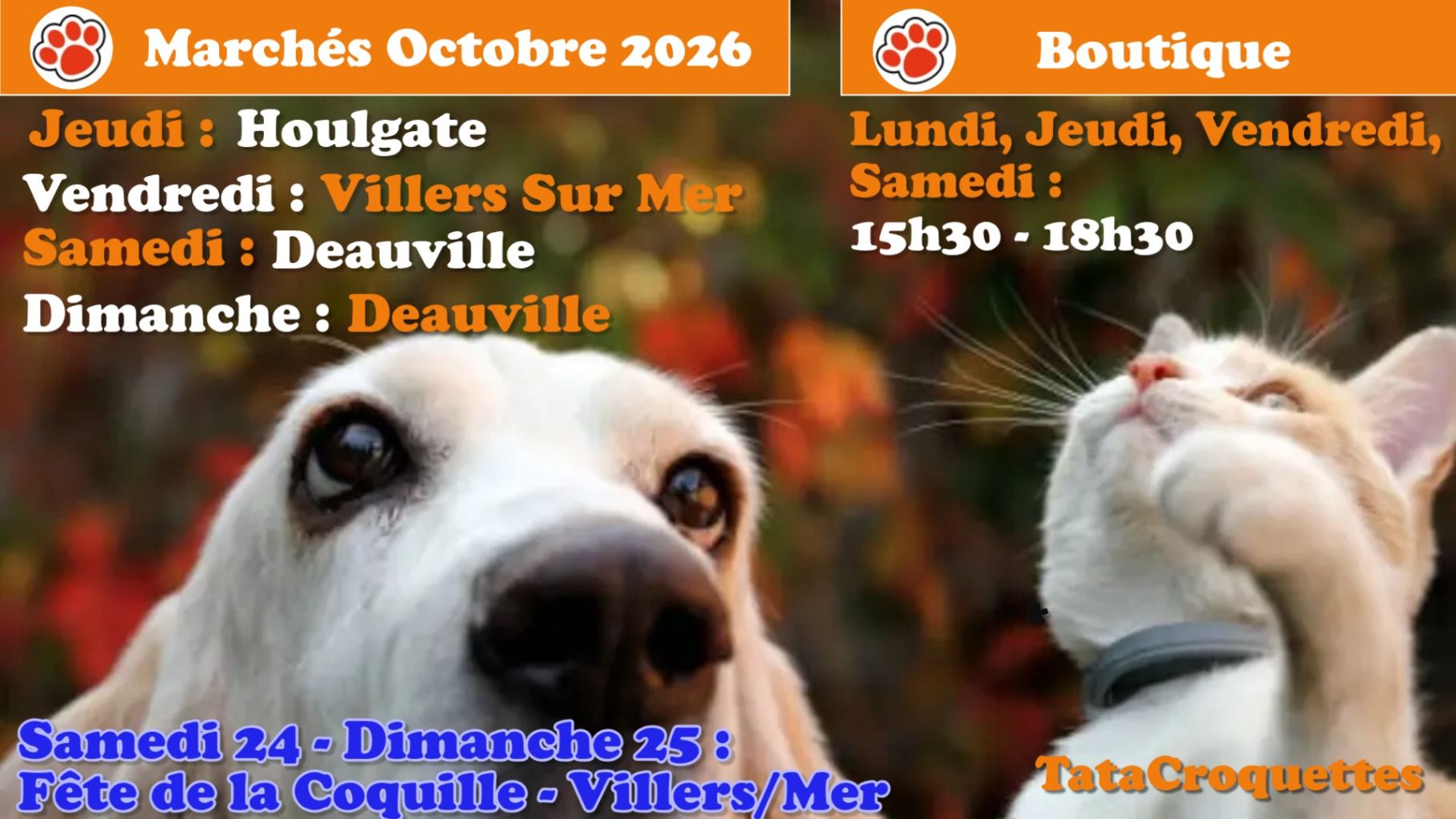 marches_octobre_2026.jpg