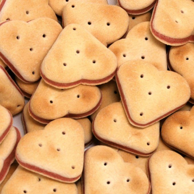 BISCUITS COEUR NATURE