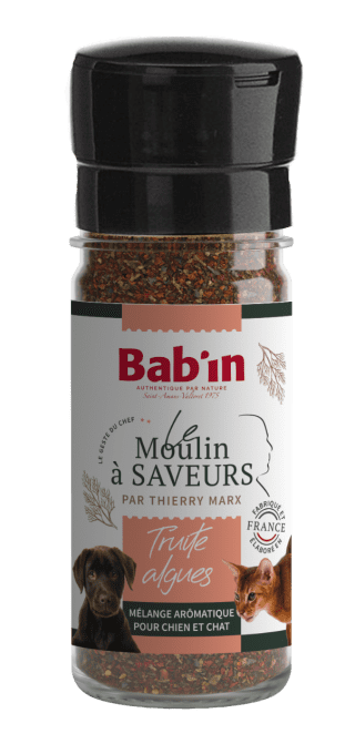 MOULIN A SAVEURS TRUITE/ALGUES