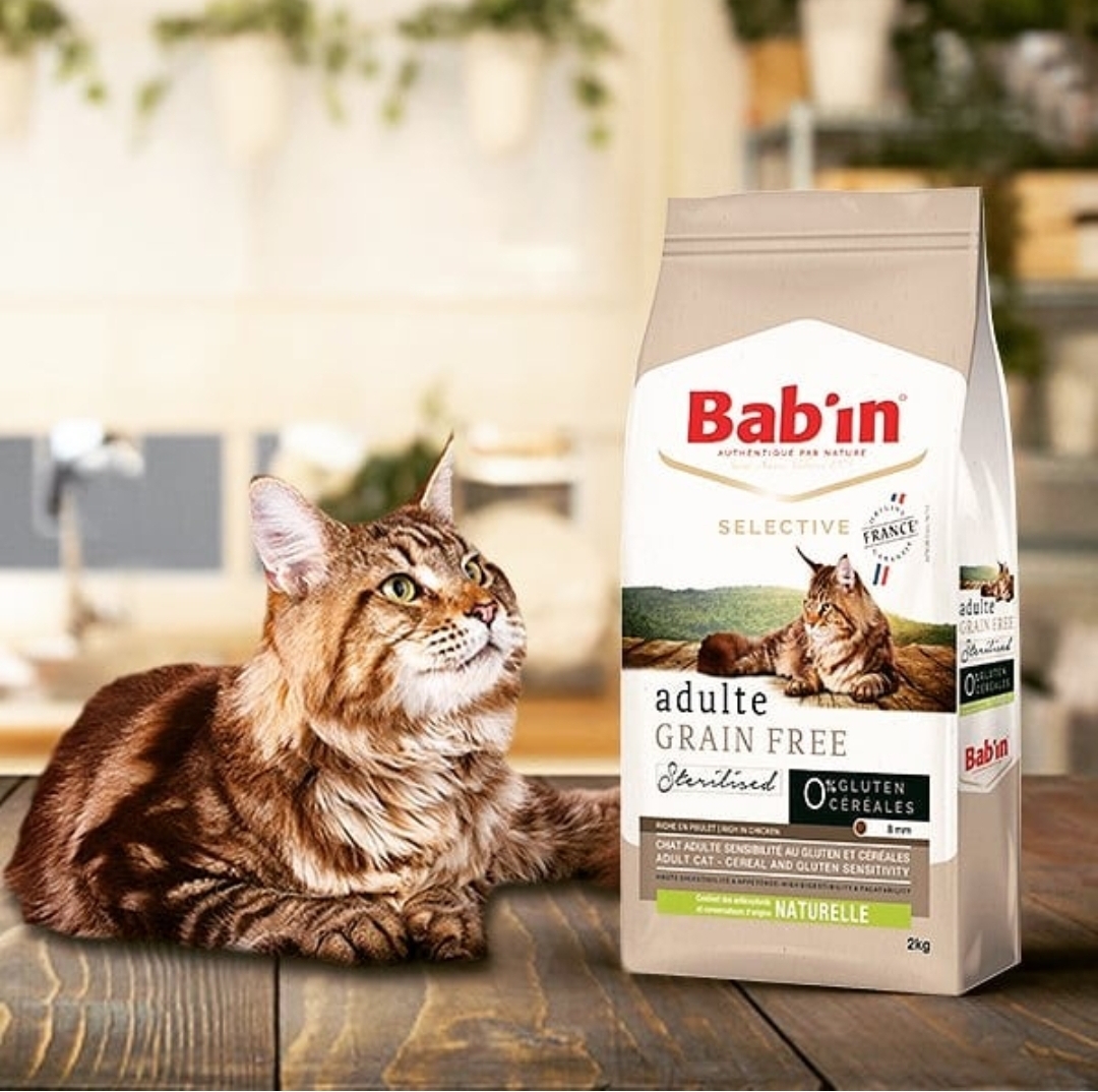 CROQUETTES BAB'IN CHATS