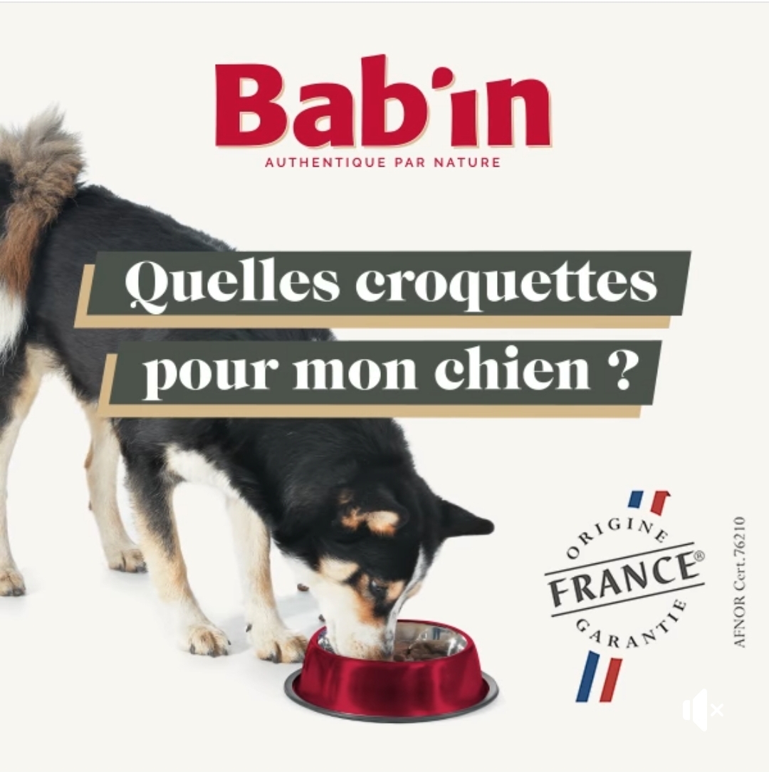 CROQUETTES BAB'IN CHIENS