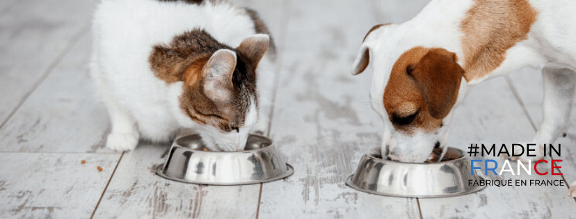 ALIMENTATION NATURELLE CHIENS & CHATS